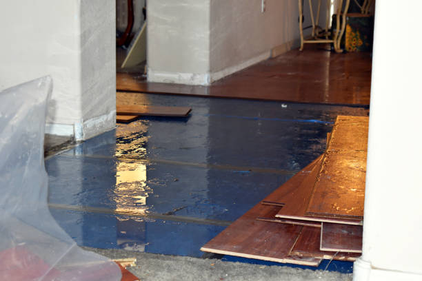 Professional Burst Pipe Water Damage technician working in Mapleville, RI